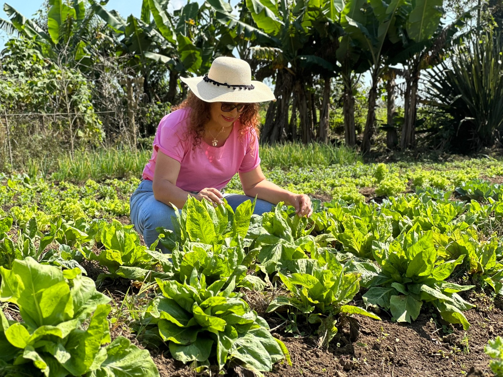 Paisagem natural do Sítio Mayumi